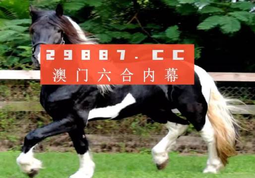 澳门与香港，一肖一码一中一肖的独特魅力与内涵解读