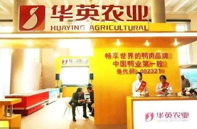 焦作华英人才招聘信息网——连接企业与人才的桥梁